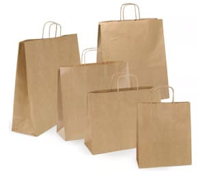Twisted Handle Paper Bag Manufacturers in Bangalore